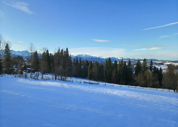 Drewniane Zacisze Apartament *